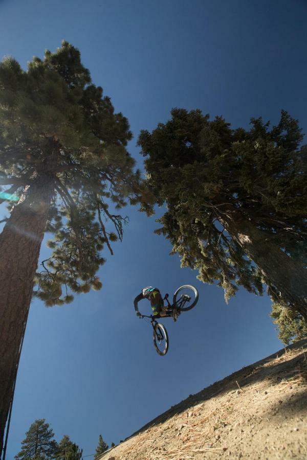 Honey Bear Lodge & Cabins Big Bear Lake Luaran gambar