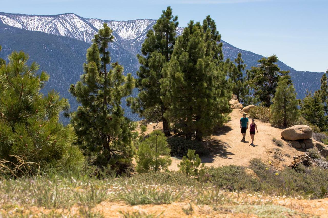 Honey Bear Lodge & Cabins Big Bear Lake Luaran gambar