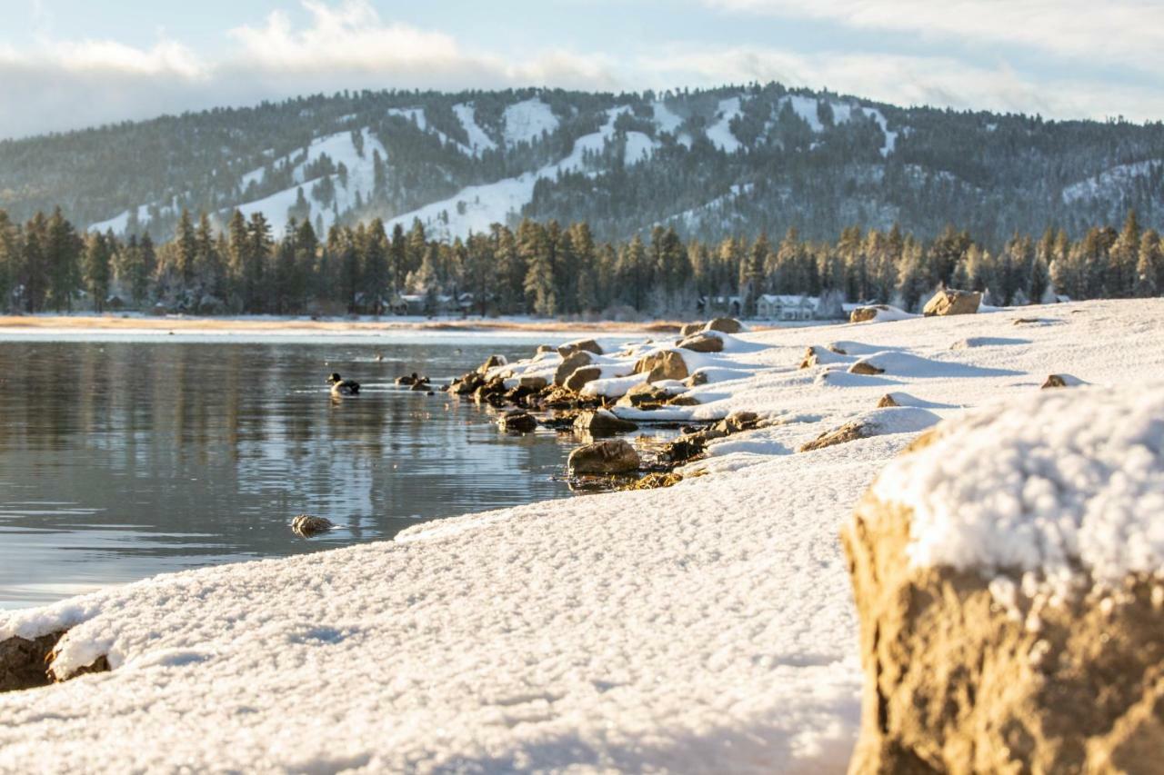 Honey Bear Lodge & Cabins Big Bear Lake Luaran gambar