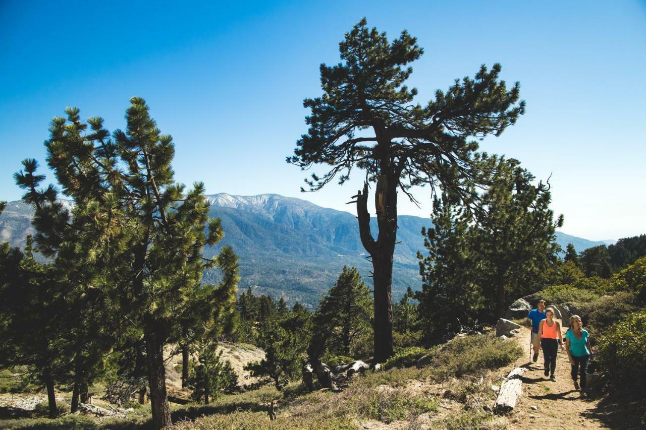 Honey Bear Lodge & Cabins Big Bear Lake Luaran gambar